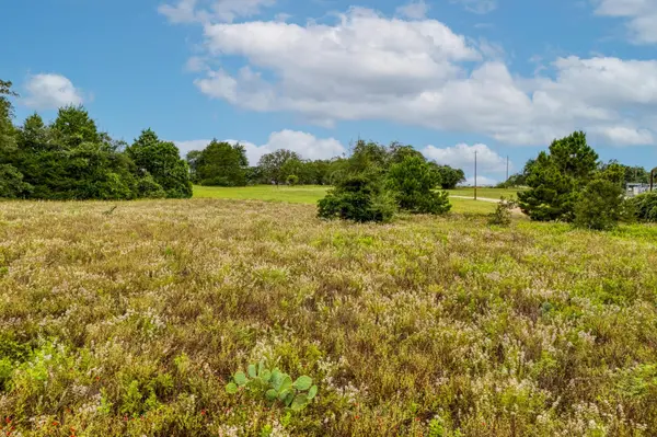 00 Old Sayers RD, Bastrop, TX 78602