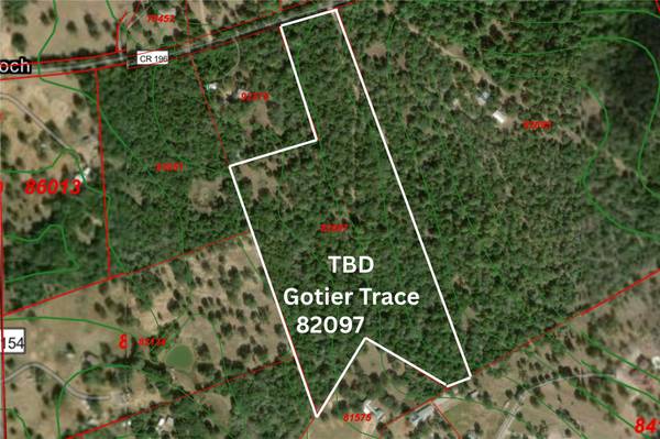 TBD Gotier Trace RD, Paige, TX 78659