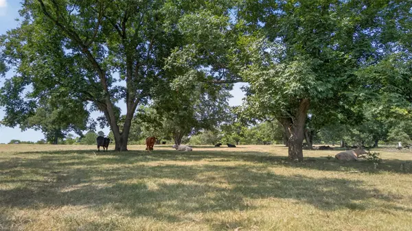 0 State Hwy 155 & CR 435, Frankston, TX 75763