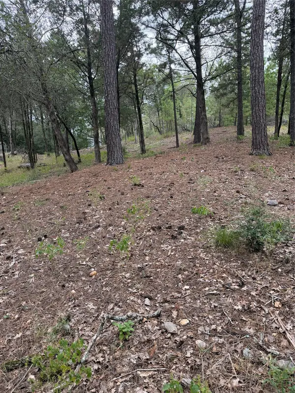 Lot 290 Aka CT, Bastrop, TX 78602