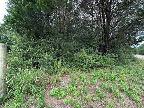 Lot 8 Green Valley RD, Bastrop, TX 78602