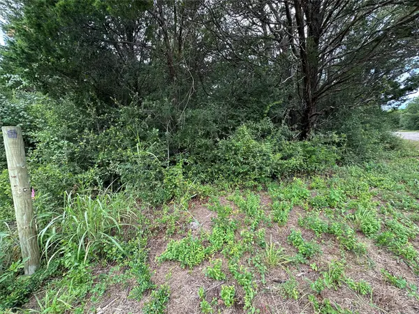Lot 8 Green Valley RD, Bastrop, TX 78602
