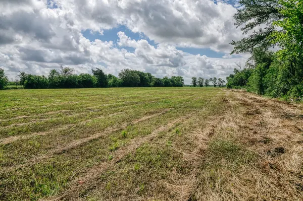 TBD FM 60, Snook, TX 77878