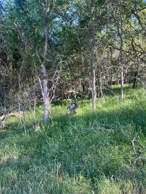 Lot 768 Kaukonahua LN, Bastrop, TX 78602