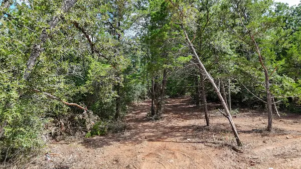 115 Eaglenest CT, Smithville, TX 78957
