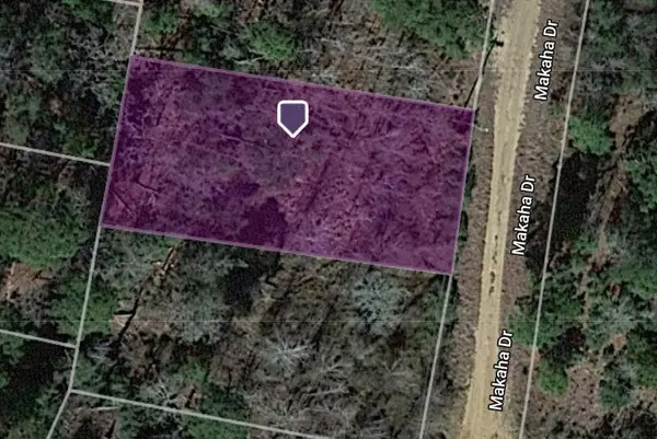 Lot 233 MAKAHA DR, Bastrop, TX 78602