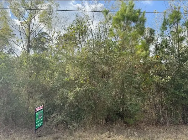 Lot 233 MAKAHA DR, Bastrop, TX 78602