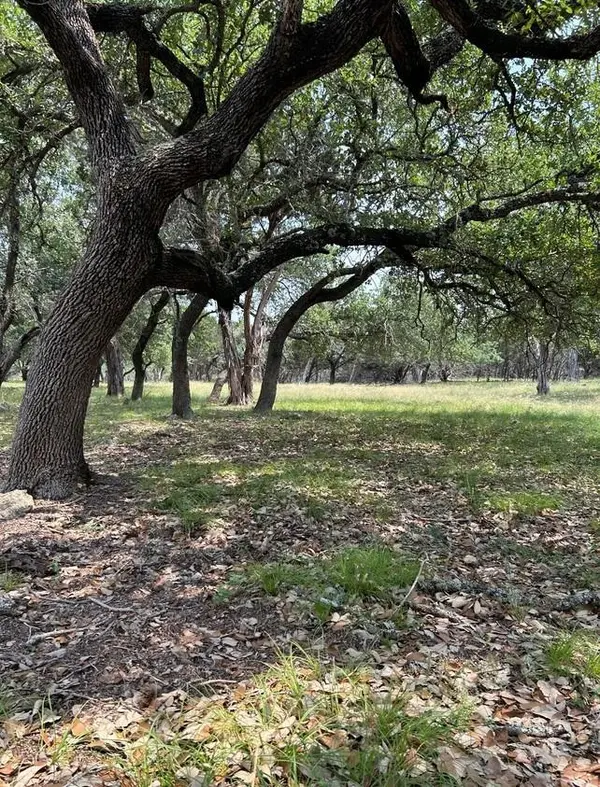 TBD Old Red Ranch RD, Dripping Springs, TX 78620