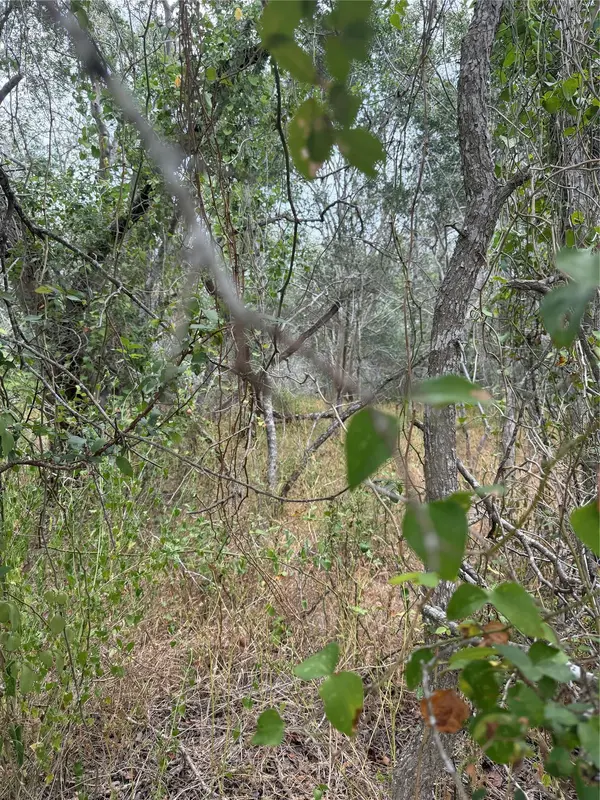 Lots 451, 452, 453 Heleakala DR, Bastrop, TX 78602