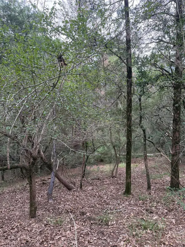Lot 294 Aka CT, Bastrop, TX 78602