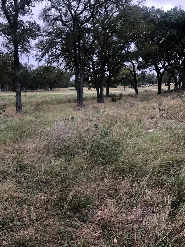 99 Axis CIR, Fredericksburg, TX 78624