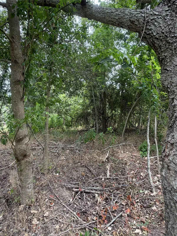 161 Kahana LN, Bastrop, TX 78602
