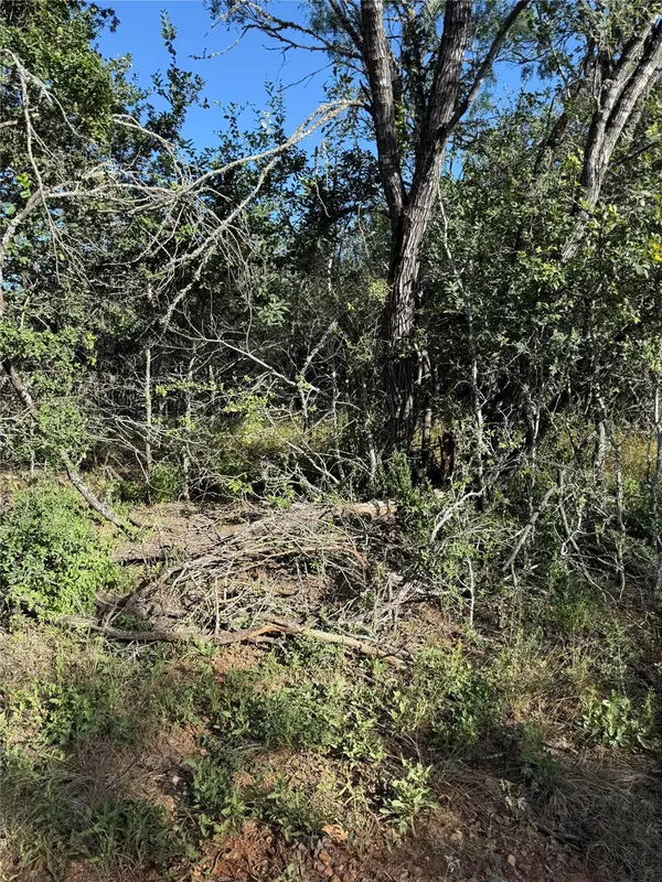 152 Helemano DR, Bastrop, TX 78602