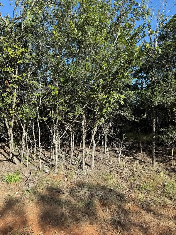 152 Helemano DR, Bastrop, TX 78602