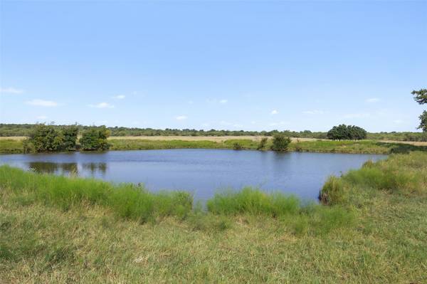 TBD FM 1176 S, Santa Anna, TX 76878