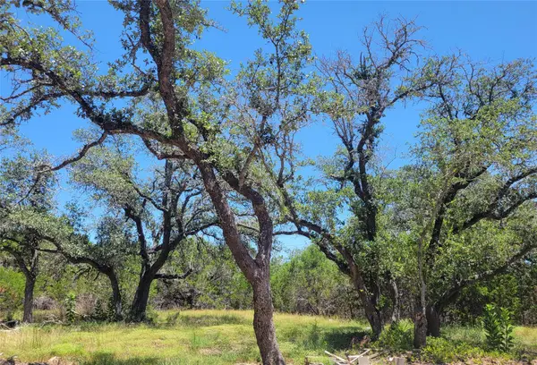 638 Bonita DR, Blanco, TX 78606