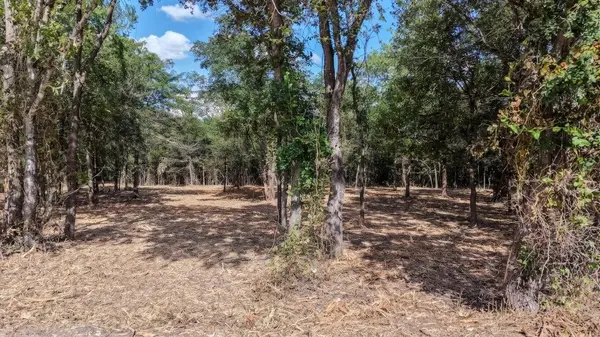TBD CR 418A (Wahle Road), Bartlett, TX 76511