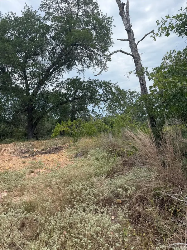 Lots 236 and 237 Kaelepulu LN, Bastrop, TX 78602