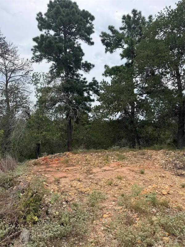 Lots 236 and 237 Kaelepulu LN, Bastrop, TX 78602