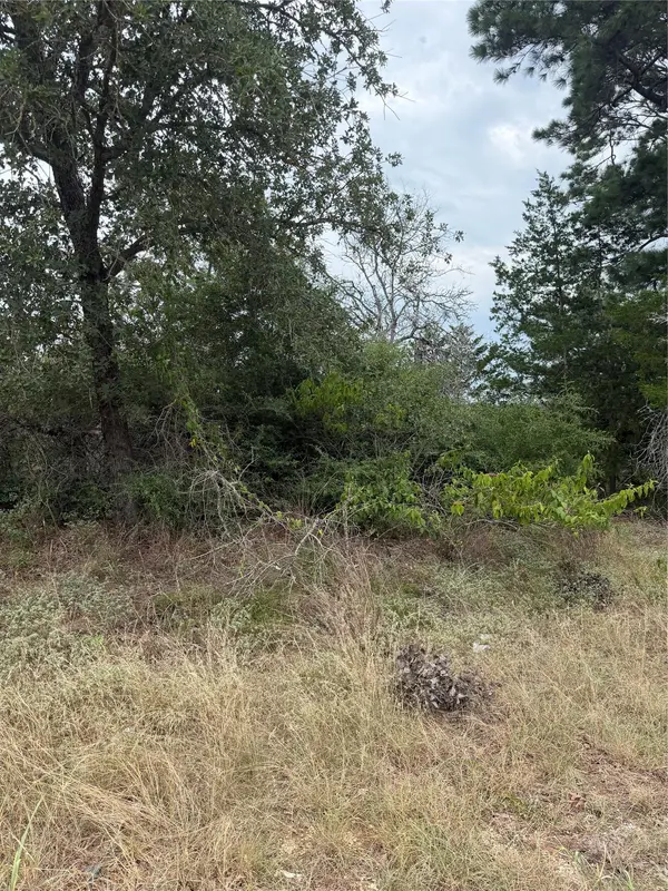 Lots 236 and 237 Kaelepulu LN, Bastrop, TX 78602