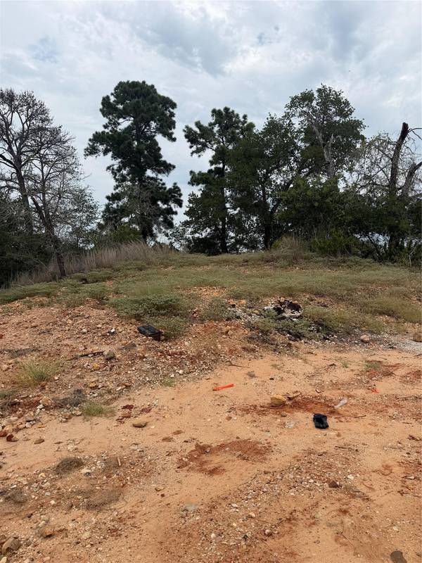 Lots 236 and 237 Kaelepulu LN, Bastrop, TX 78602