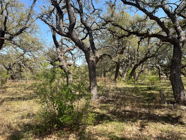 Lot 43 Waterbuck WAY, Lampasas, TX 76550