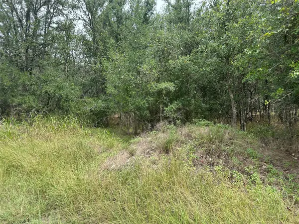 107 Halawa CT, Bastrop, TX 78602