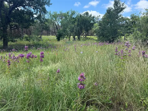 5150 CR 254, Bertram, TX 78605