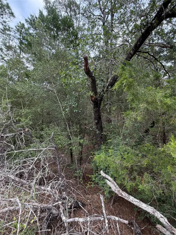 Lots  407 and 408 Molokini DR, Bastrop, TX 78602