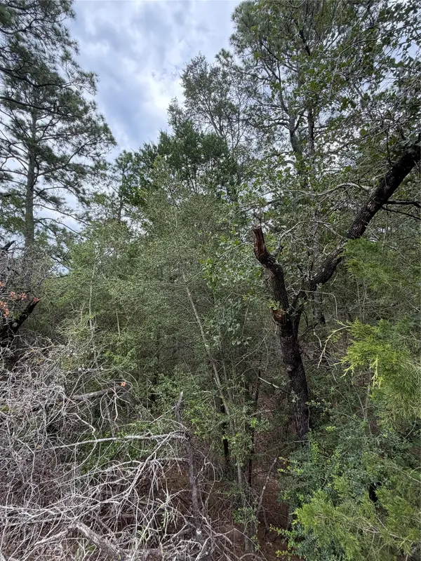 Lots 407 and 408 Molokini DR, Bastrop, TX 78602