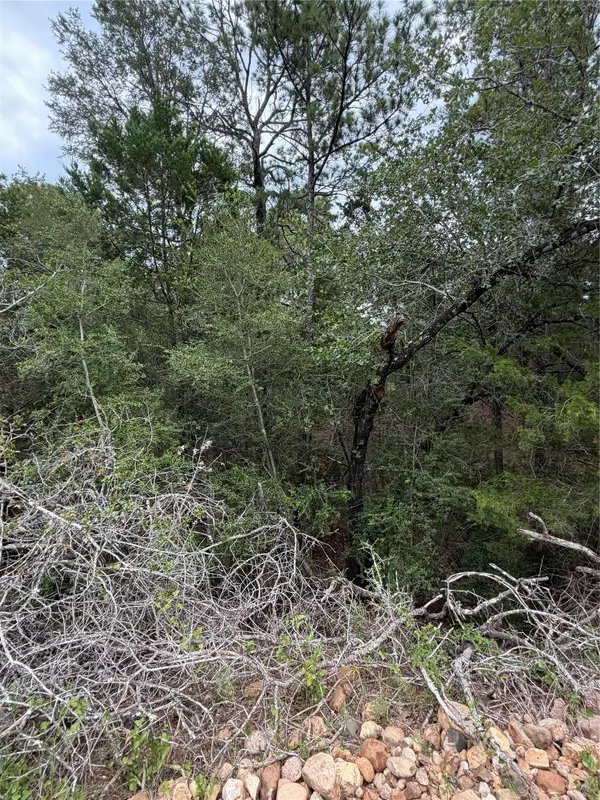 Lots  407 and 408 Molokini DR, Bastrop, TX 78602