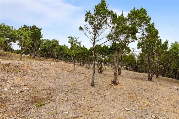 4519 Crawford RD, Spicewood, TX 78669