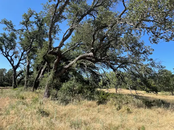 Lot 200 Swamp Creek Cove, Burnet, TX 78611