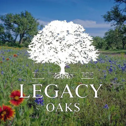 Lot 200 Swamp Creek Cove, Burnet, TX 78611
