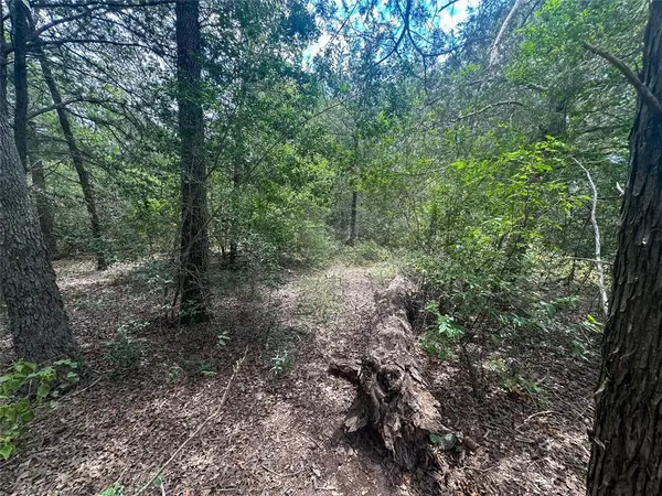 246 Arrowhead DR, Smithville, TX 78957