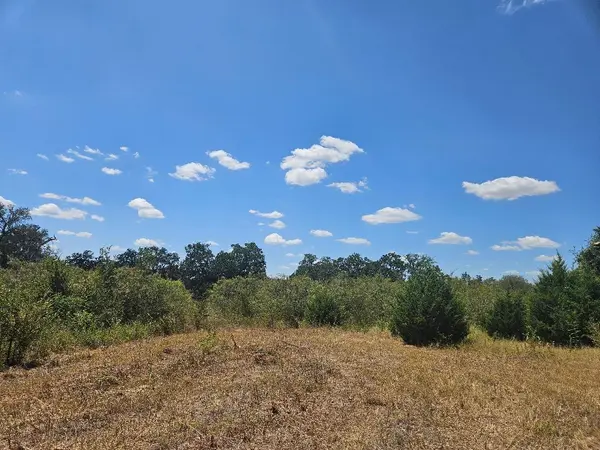 358 S Highway 95 S, Elgin, TX 78621