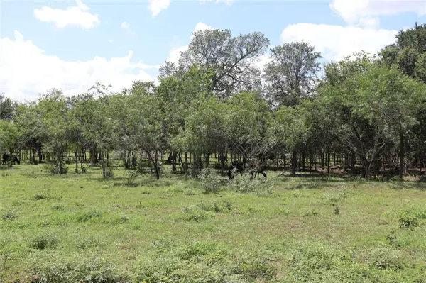 1220 Brushy Branch RD, Lockhart, TX 78644