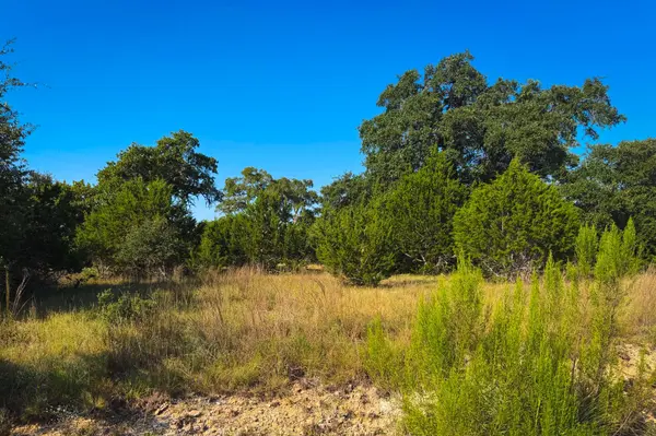 Lot 380 S Calvin Barrett RD, Blanco, TX 78606