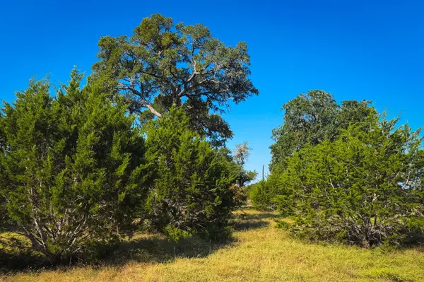 Lot 380 S Calvin Barrett RD, Blanco, TX 78606