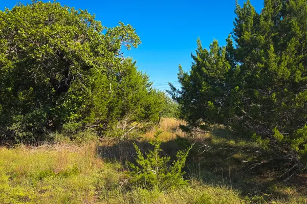 Lot 380 S Calvin Barrett RD, Blanco, TX 78606