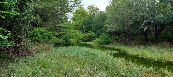 00000 Brinkley DR, Wimberley, TX 78676