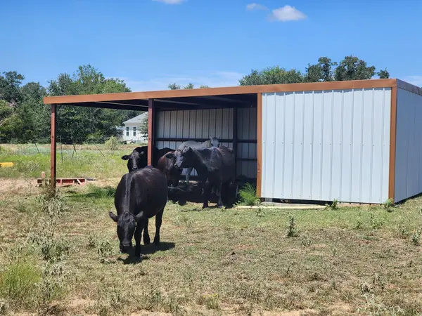 668 Fairview DR, Rockdale, TX 76567