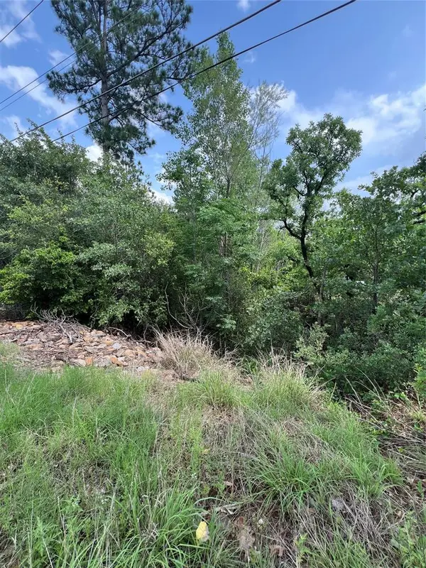TBD Monku CT, Bastrop, TX 78602
