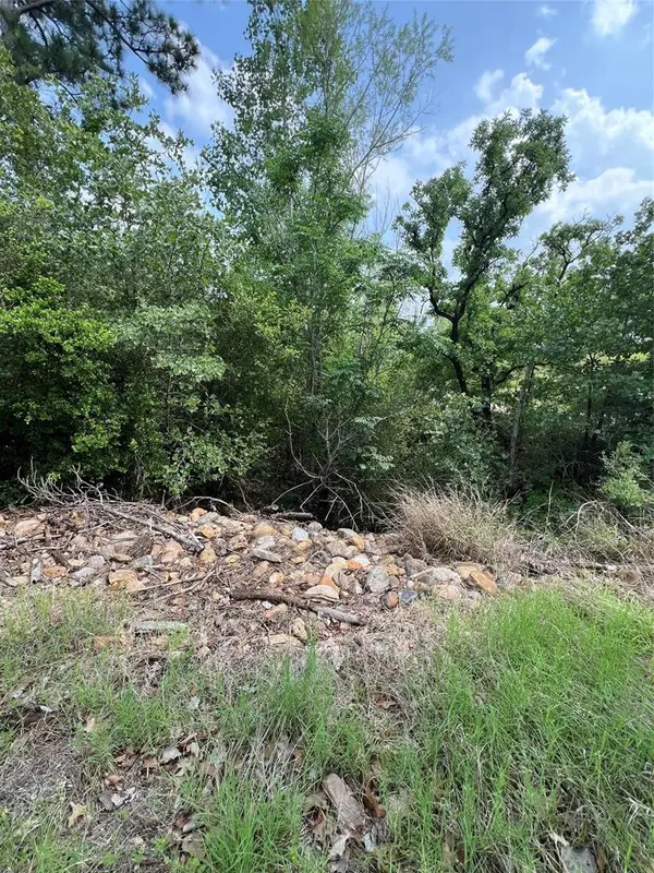 TBD Monku CT, Bastrop, TX 78602