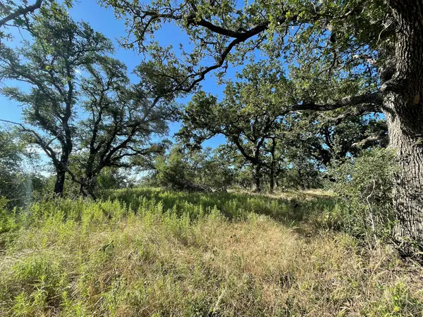 Lot 22 Legacy Ridge, Burnet, TX 78611