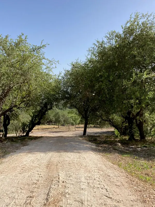 6709 Singleton Bend RD #4, Marble Falls, TX 78654