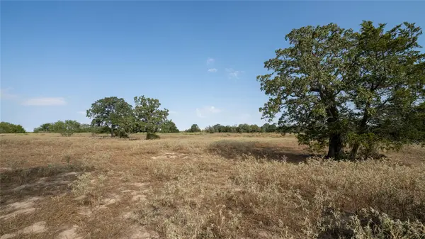 TBD TRACT 5 CEDAR ROCK RD, Rosanky, TX 78953