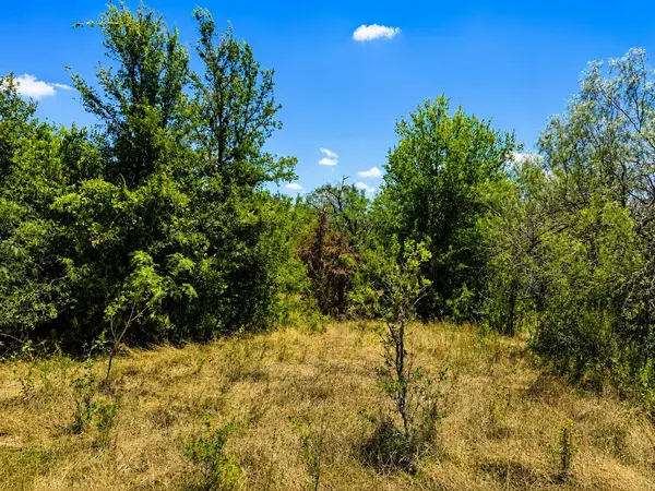 221 Fawn Ridge RD, Cedar Creek, TX 78612