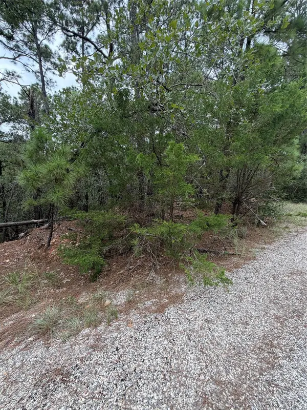 Lots 216 and 217 Hekili DR, Bastrop, TX 78602