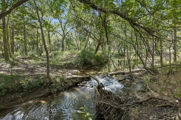 16001 Decker Lake RD, Manor, TX 78653